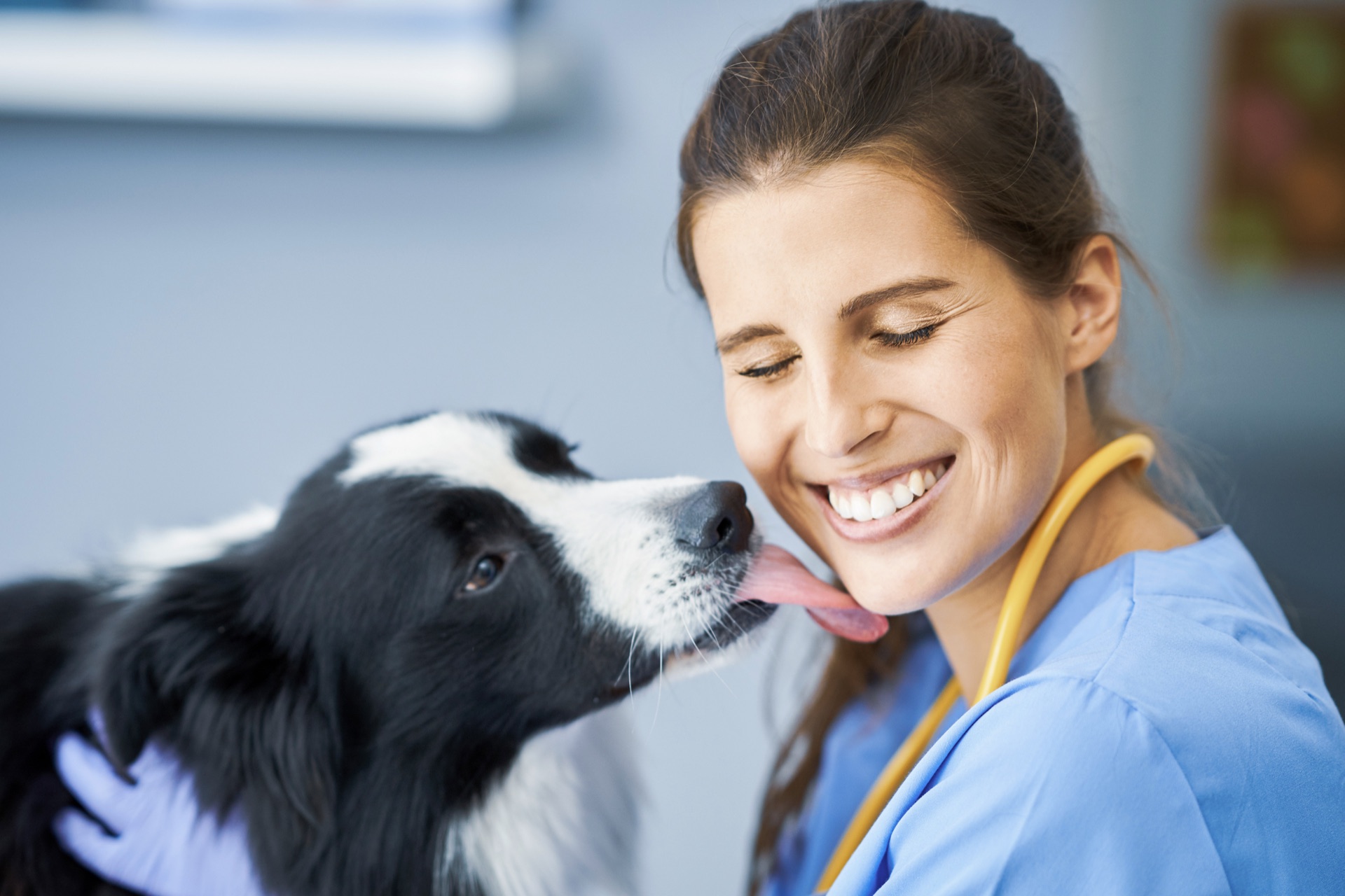 Veterinarian performing a clinical examination β diagnostic equipment in use