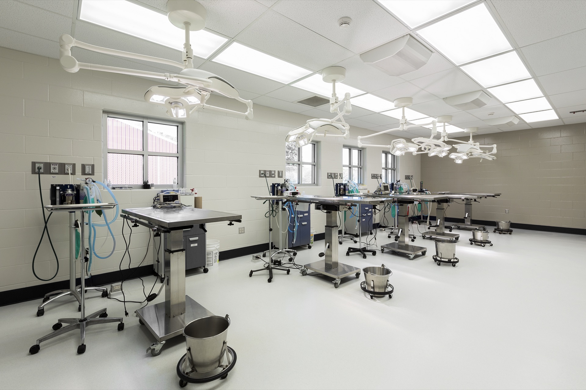 Veterinary orthopaedic plates, screws and TPLO systems